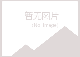 赤峰松山平庸采矿有限公司